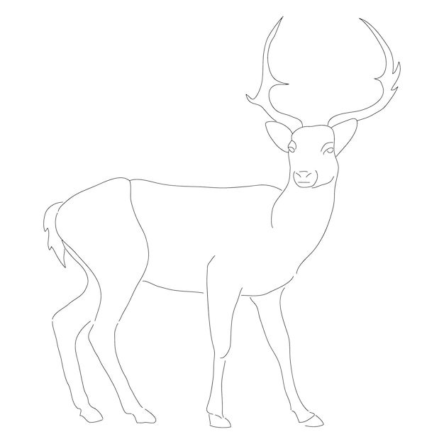 Disegno continuo di una linea di un'illustrazione vettoriale di un cervo topo isolato su sfondo bianco