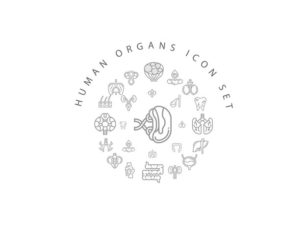 Disegno dell'icona degli organi umani