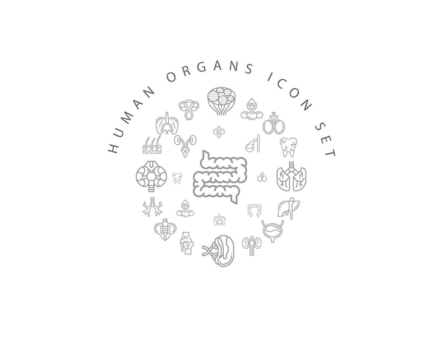 Disegno dell'icona degli organi umani