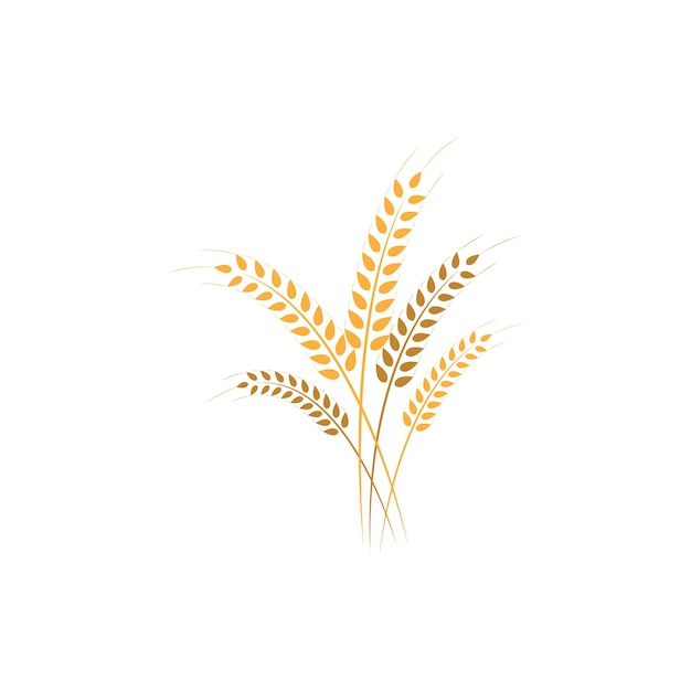 Disegno dell'icona di vettore del modello di logo del grano di agricoltura