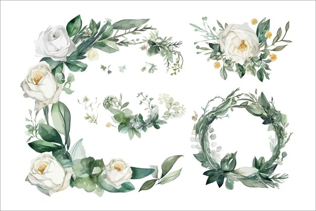 Disegno dell'invito dell'acquerello con rose da giardino bianche foglie di fiori selvatici Modello di elementi floreali decorativi Illustrazione di cartone animato piatto isolata su sfondo bianco