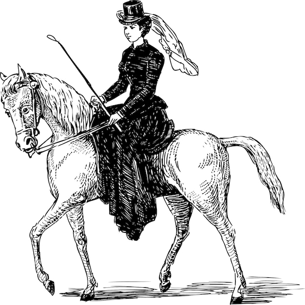 Disegno della signora a cavallo a mano