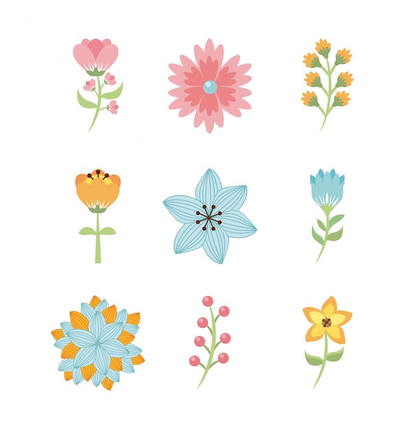 disegno di fiori