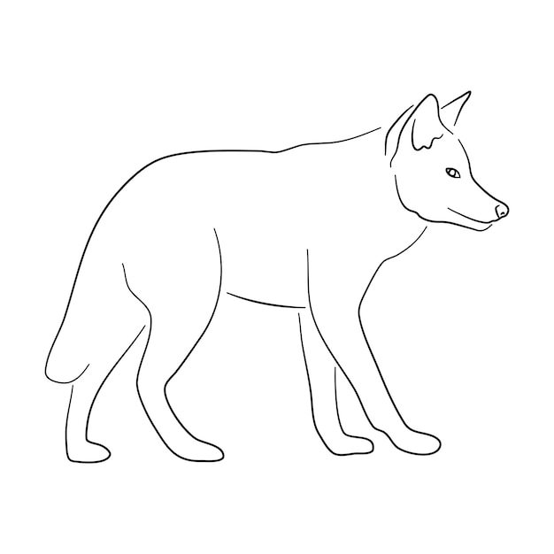 Disegno di schizzo di un coyote isolato su uno sfondo bianco Illustrazione vettoriale