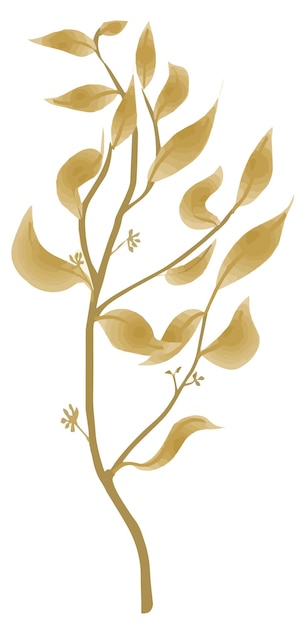Disegno disegnato a mano a colori vettoriali Golden Branch