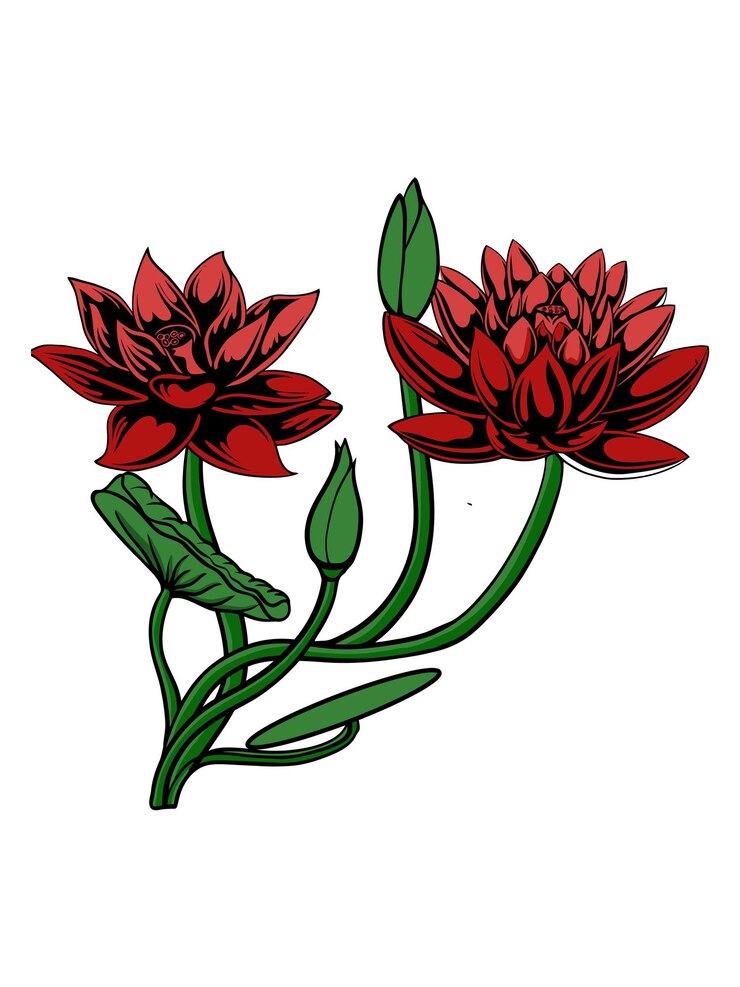 Vettore disegno floreale vettoriale per elemento