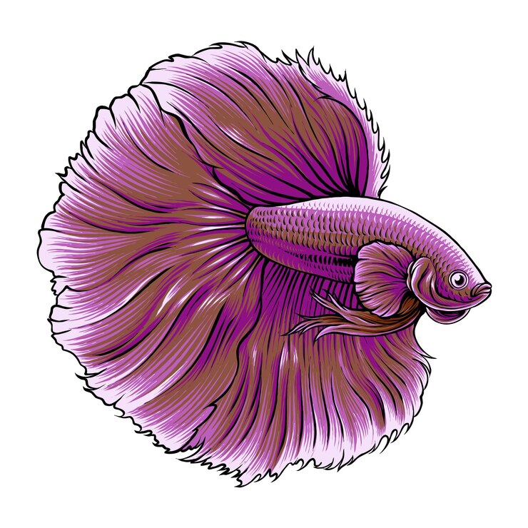 Vettore disegno illustrativo del pesce lavanda betta vettoriale