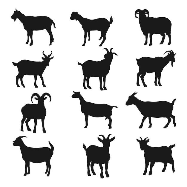 disegno illustrativo della collezione silhouette goat
