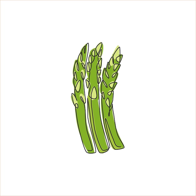 Disegno in linea continua di asparagi biologici per il logo Pianta perenne fresca per l'icona delle verdure