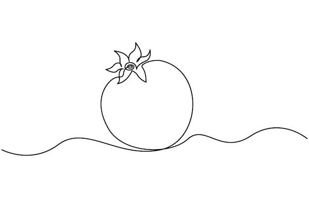 Disegno lineare continuo di melograno Disegno di granato a una linea Melograno in stile a una linea