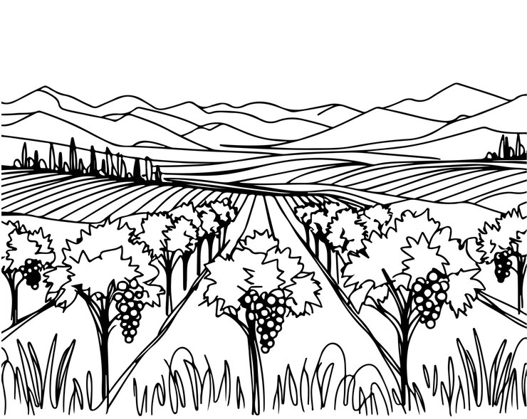 Vettore disegno minimalista del campo della vigna per l'etichetta del vino