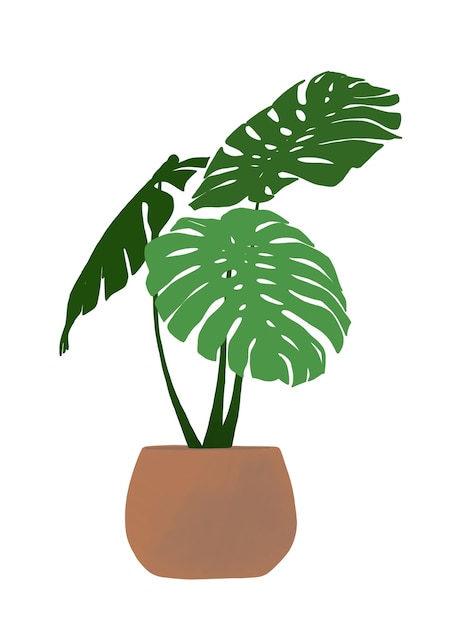 disegno semplice della pianta in vaso