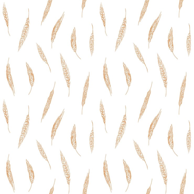 Vettore disegno senza cuciture con cereali, colture di grano. sfondio senza fine con grano, orzo, spikelets di segale. stampa ripetibile con piante da semina di campo. disegno di consistenza in stile retro. illustrazione vettoriale disegnata a mano