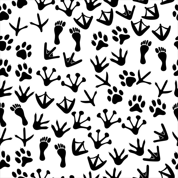 Vettore disegno senza cuciture con impronte di animali su sfondo bianco