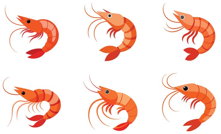 Disegno Set di icone vettoriali di gamberi Illustrazioni