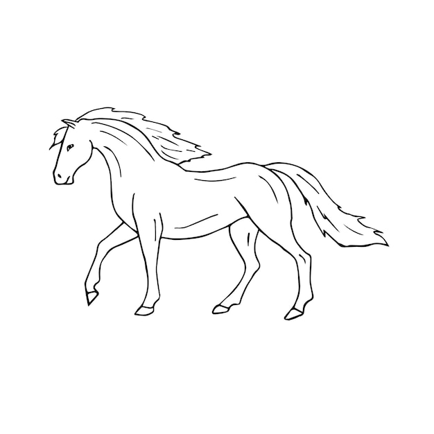 Disegno vettoriale a mano di un cavallo spagnolo