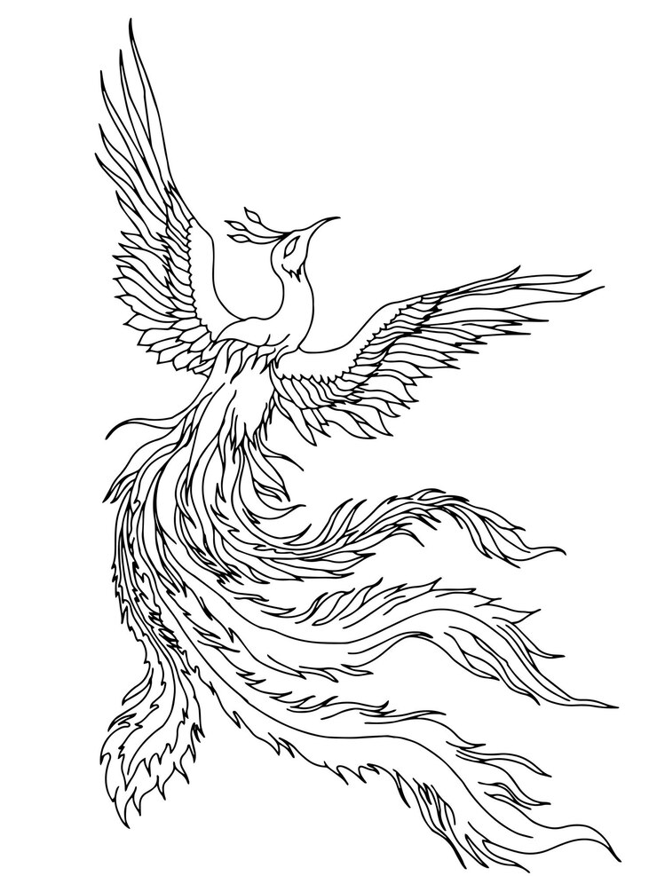 Vettore disegno vettoriale asian phoenix bird muta arte