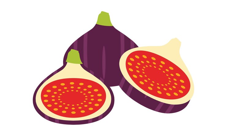 Vettore disegno vettoriale e di illustrazione