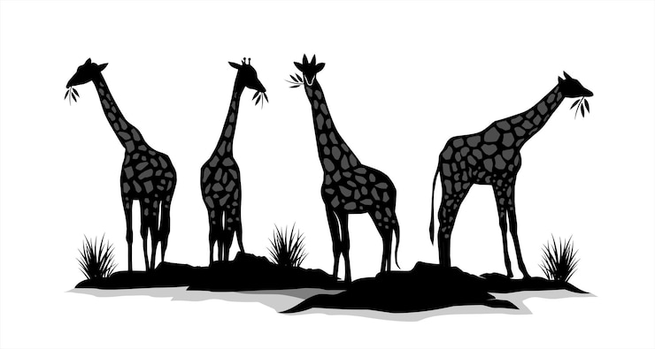 Vettore disegno vettoriale giraffa impostato in colore bianco e nero