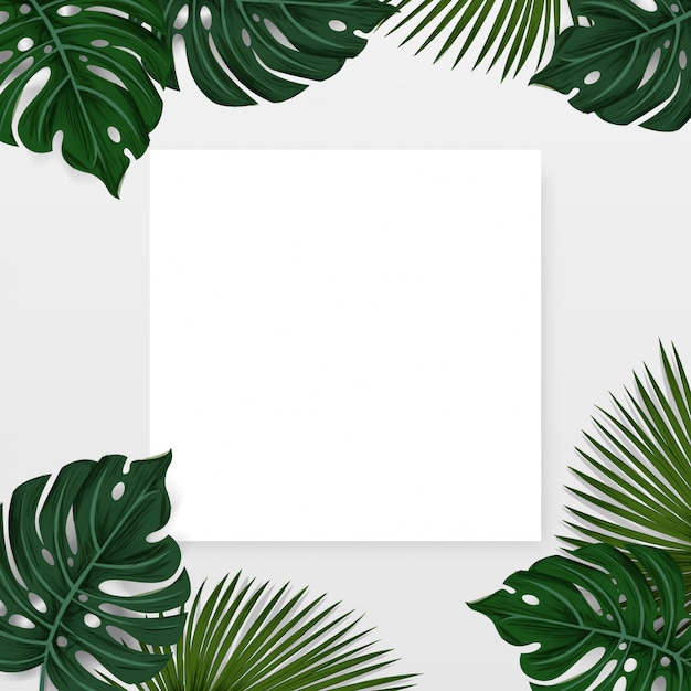Disposizione, sfondo di foglie di palma tropicale con nota di carta di carta bianca