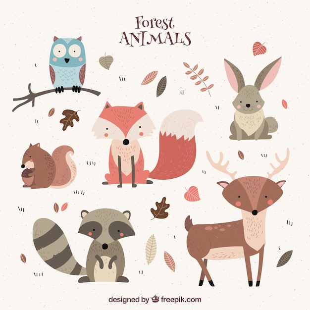Diverse belle animali selvatici
