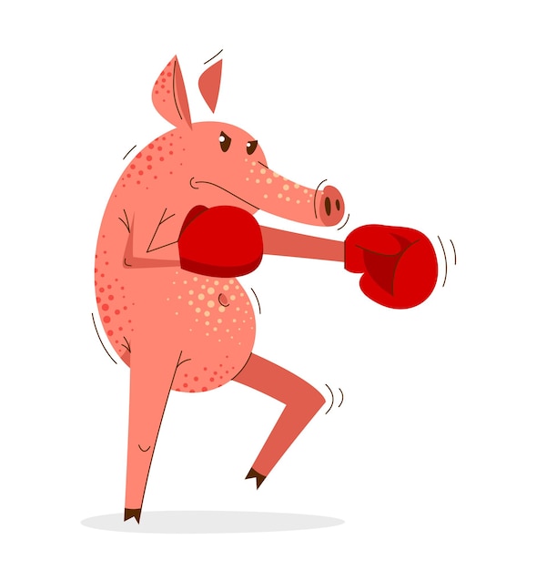 Divertente cartone animato di allenamento di boxe di maiale in guanti illustrazione vettoriale, disegno suina di carattere animale.
