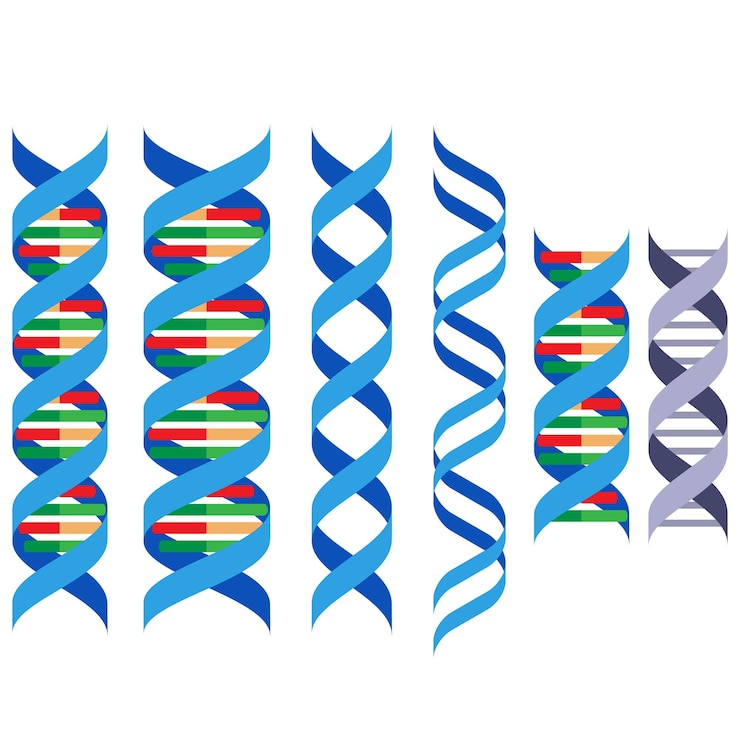Vettore dna convertito