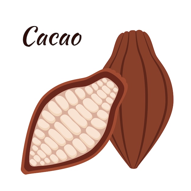 Dolce cacao biologico