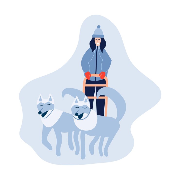 Vettore donna musher che guida la squadra della slitta del cane la donna felice guida la slitta del cane della squadra del husky vecgtor illustrazione di stock