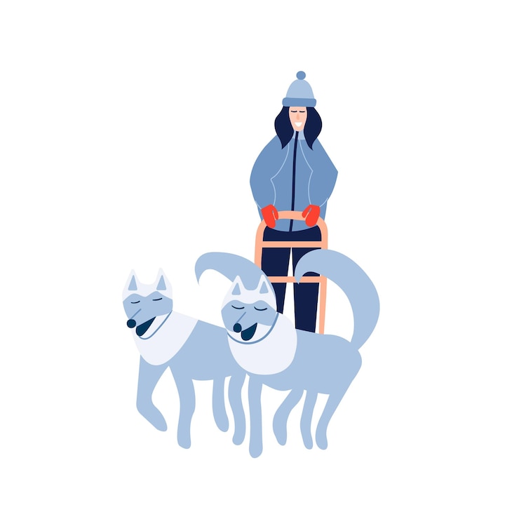 Vettore donna musher che guida la squadra della slitta del cane la donna felice guida la slitta del cane della squadra del husky vecgtor illustrazione di stock