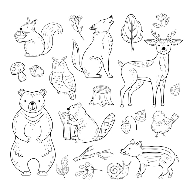 Doodle animali della foresta. Insieme disegnato a mano di schizzo dei bambini della lumaca dei cervi dell'orso del gufo dello scoiattolo animale del bambino sveglio del terreno boscoso