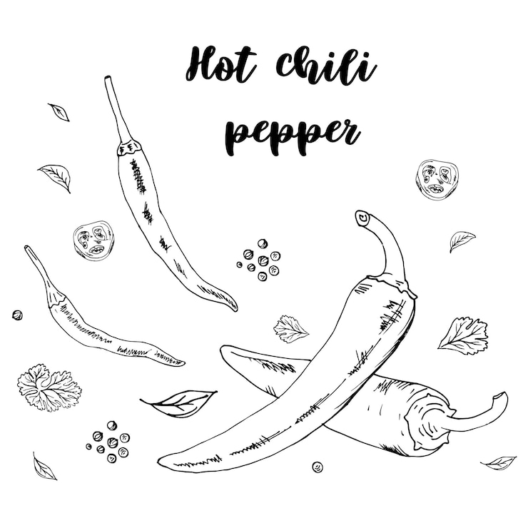 Vettore doodle condimento di peperoncino in diverse posizioni