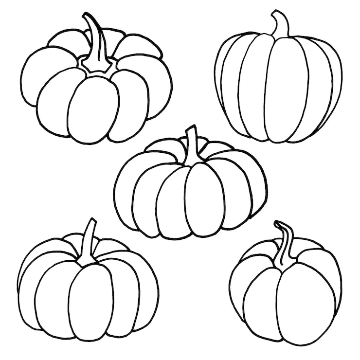 Vettore doodle contorno zucca set disegnato a mano