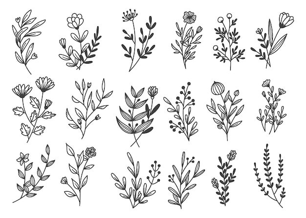 Doodle di fiori e rami disegnati a mano