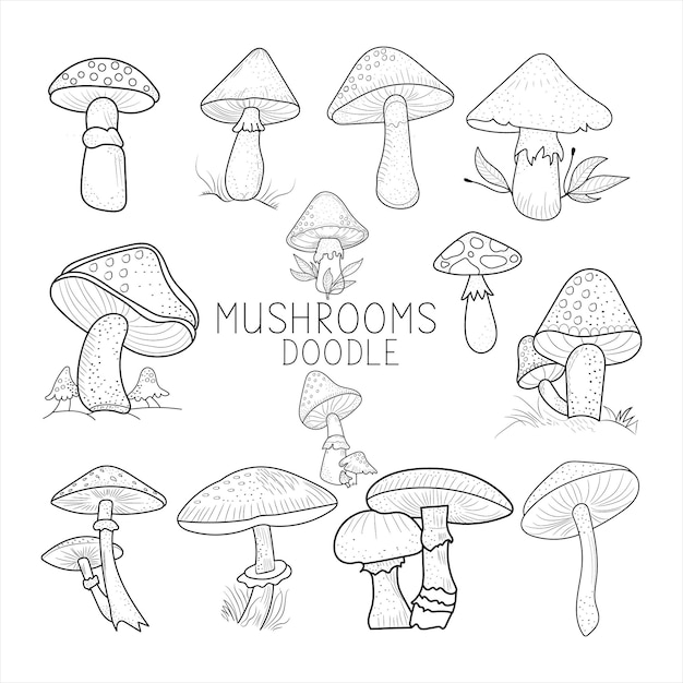 Doodle funghi Vector Pack funghi Clipart funghi disegno a mano illustrazione