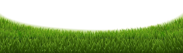 EGrassPanoramarAndIsolatedWhiteBanner_10_M_230401