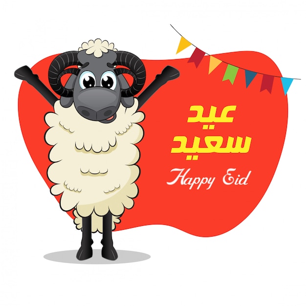 Eid Al Adha Sheep