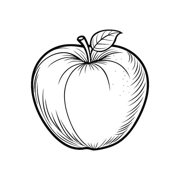 Elegante Apple Line Art Vector per disegni e illustrazioni creative Stile semplice e minimalista