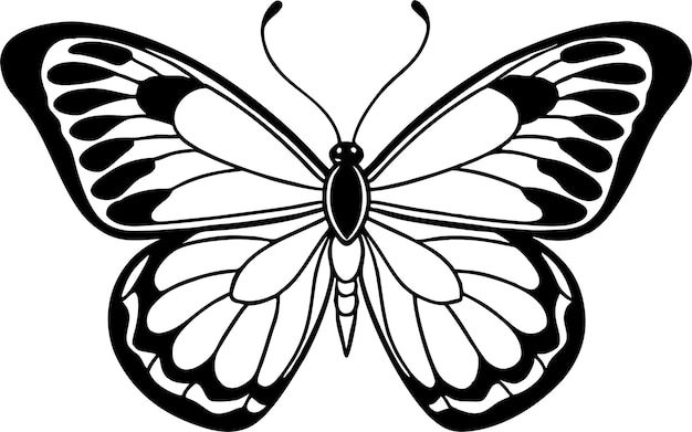 Elegante Butterfly Line Art Minimalista amp Illustrazione estetica