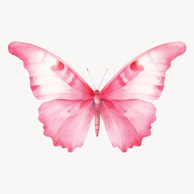 Vettore elegante farfalla ad acquerello rosa