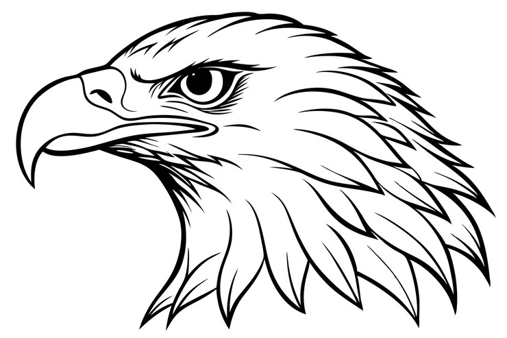 Elegante illustrazione vettoriale con linea di testa di aquila perfetta per stampe e uso digitale