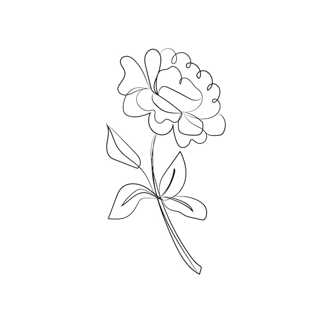 Elegante pioniera in linea