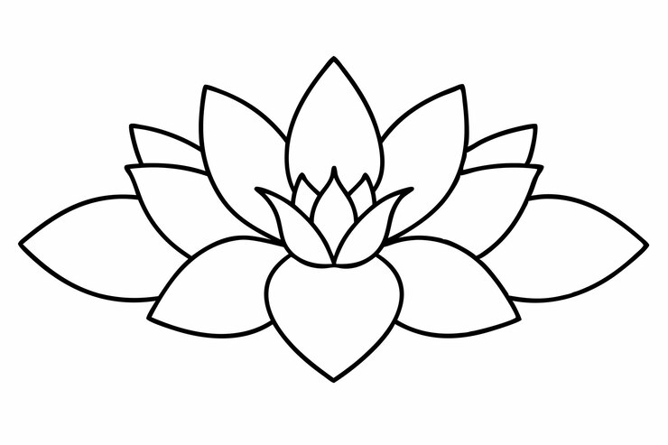 Vettore elegante set di shallouette flower line art