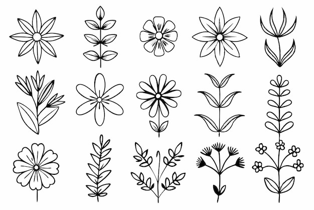 Elegante set di Shallouette Flower Line Art