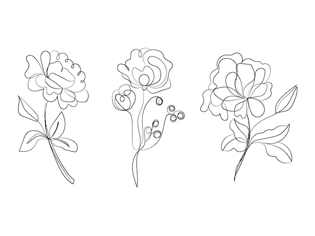 Eleganti disegni botanici con linee floreali