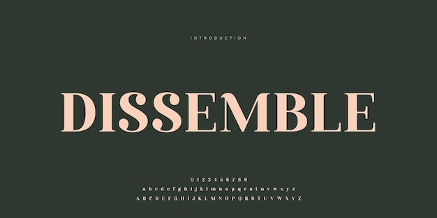Eleganti lettere dell'alfabeto font e numero con lettere classiche modalità tipografica di design di moda minimale