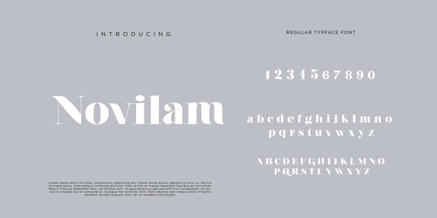 Eleganti lettere dell'alfabeto font e numero con lettere classiche modalità tipografica di design di moda minimale