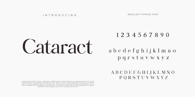 Eleganti lettere dell'alfabeto font e numero con lettere classiche modalità tipografica di design di moda minimale
