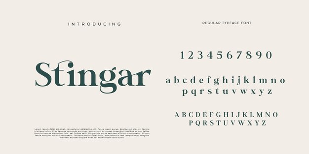 Eleganti lettere dell'alfabeto font e numero con lettere classiche modalità tipografica di design di moda minimale