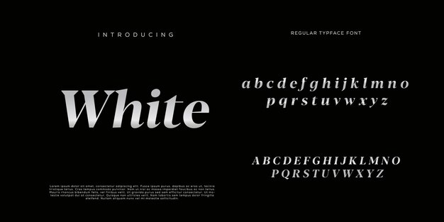 Eleganti lettere dell'alfabeto font e numero con lettere classiche modalità tipografica di design di moda minimale